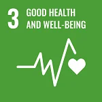 Financing Ideas for Good Health and Well-being Sustainable Development Goal 3