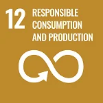 Financing Ideas for Responsible Consumption and Production Sustainable Development Goal 12
