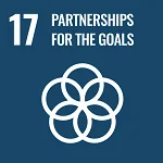 Financing Ideas for Partnerships for the Goals Sustainable Development Goal 17