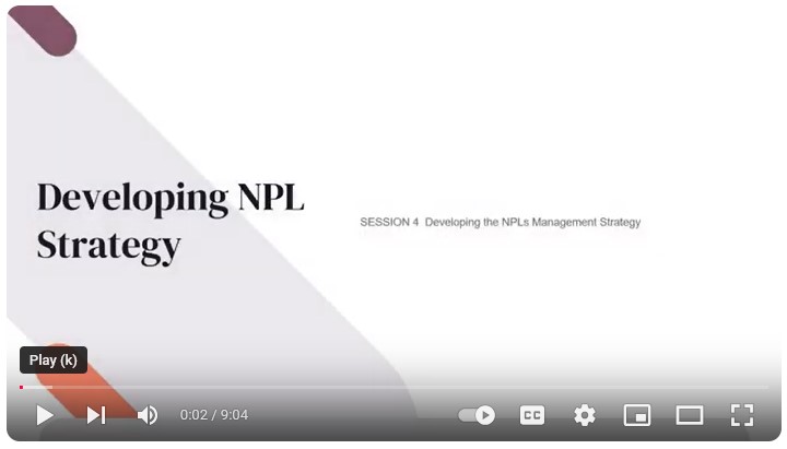 Non Performing Loans Management Corporate Training Course Session 4