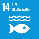 Sdg goal 14 life below water 1024x1024