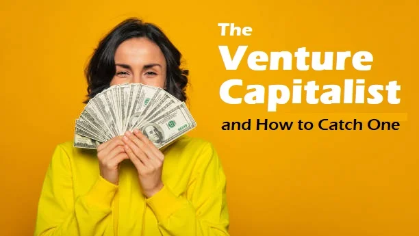 The venture capitalist mindset and how to get one on your side